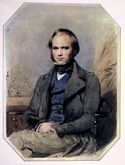 A chalk portrait of Darwin at about thirty, clean-shaven and in a high collar, made four years after the voyage ended.