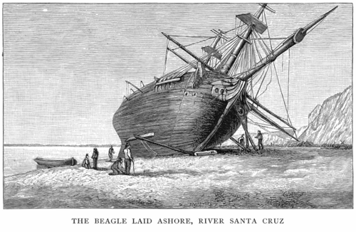 An engraving of the Beagle heeled over on a shingle riverbank for repair, her masts raked, crew and tents on the shore beside her.